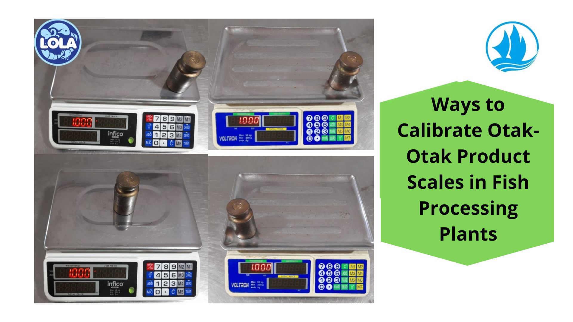 Ways to Calibrate Otak-Otak Product Scales in Fish Processing Plants